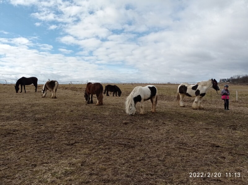IMG_20220220_111325