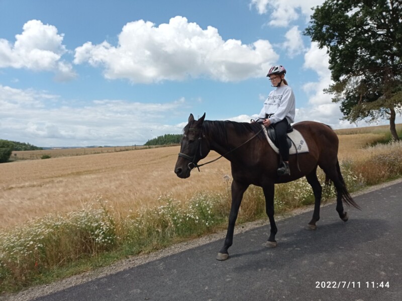 IMG_20220711_114417